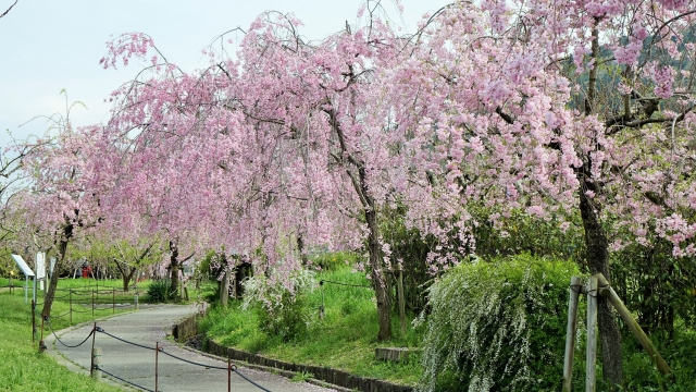 東谷山フルーツパーク